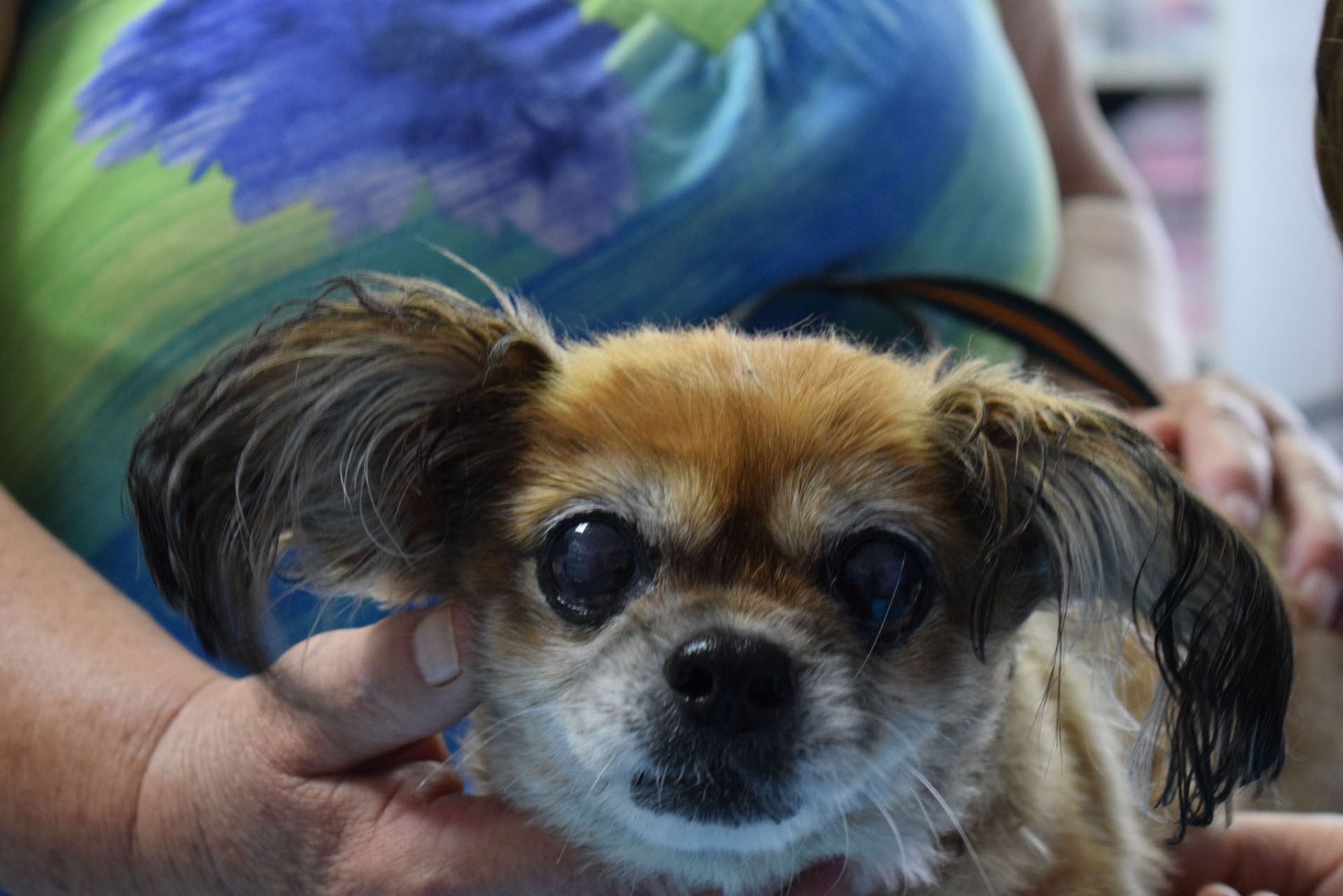 Ohhhoo! Ljubimci su sretni ovdje