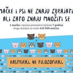 Kastriraj, ne filozofiraj